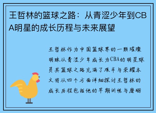 王哲林的篮球之路：从青涩少年到CBA明星的成长历程与未来展望